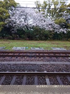 線路