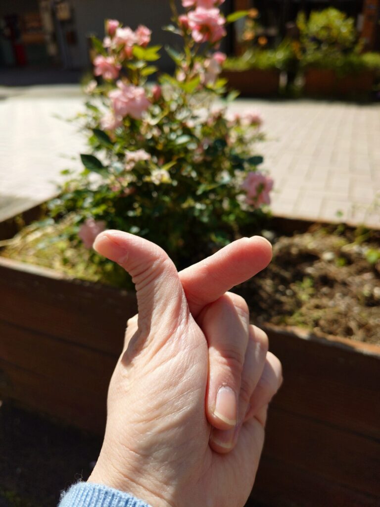 ハート