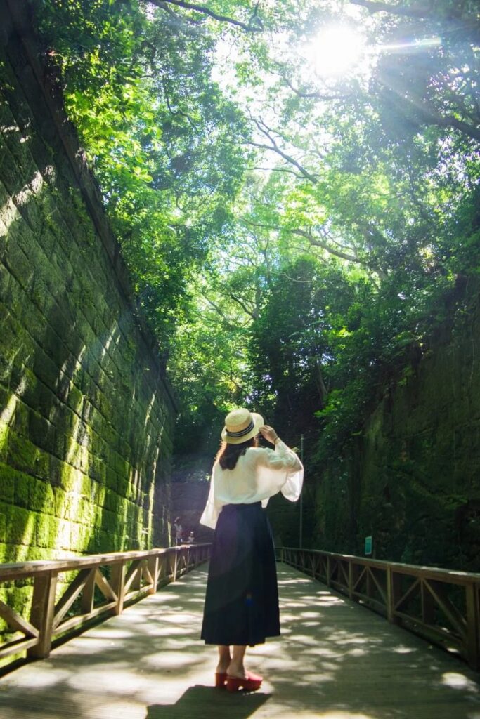 見上げる