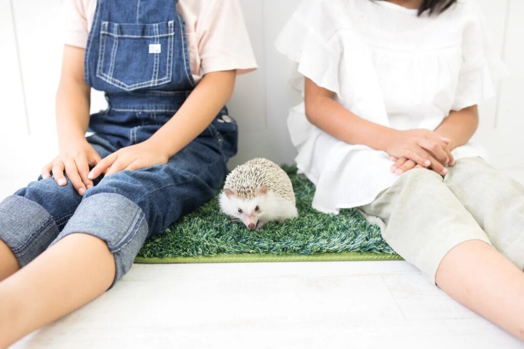 仲良し