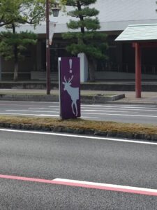 鹿飛び出し注意