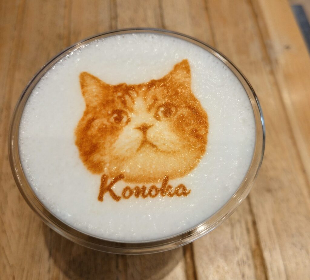 猫カフェ