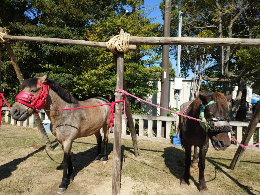 駆け馬１